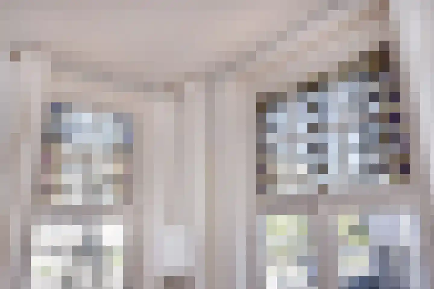 Laan van Meerdervoort 94 19 Den Haag thumbnail 9