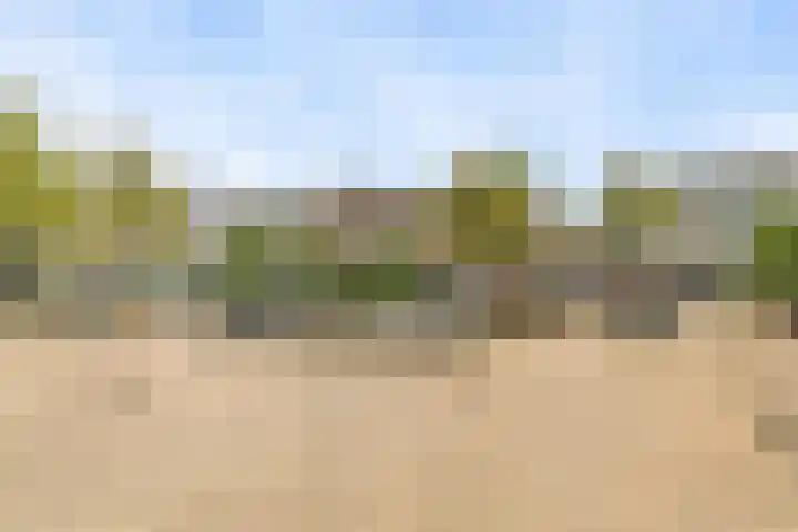 Laan van Meerdervoort 94 5 Den Haag thumbnail 25