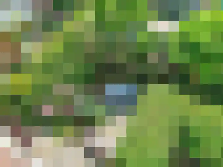 Laan van Meerdervoort 94 5 Den Haag thumbnail 6