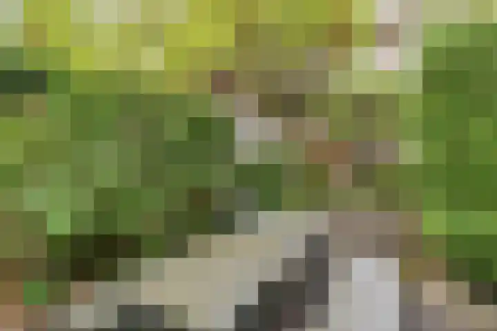 Laan van Meerdervoort 94 5 Den Haag thumbnail 7