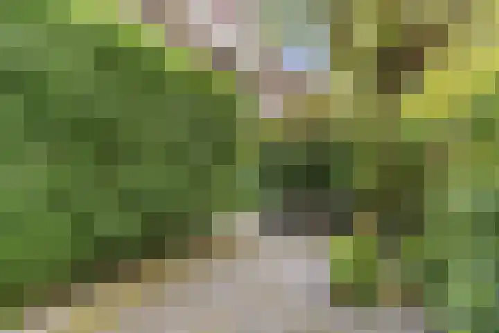 Laan van Meerdervoort 94 5 Den Haag thumbnail 8