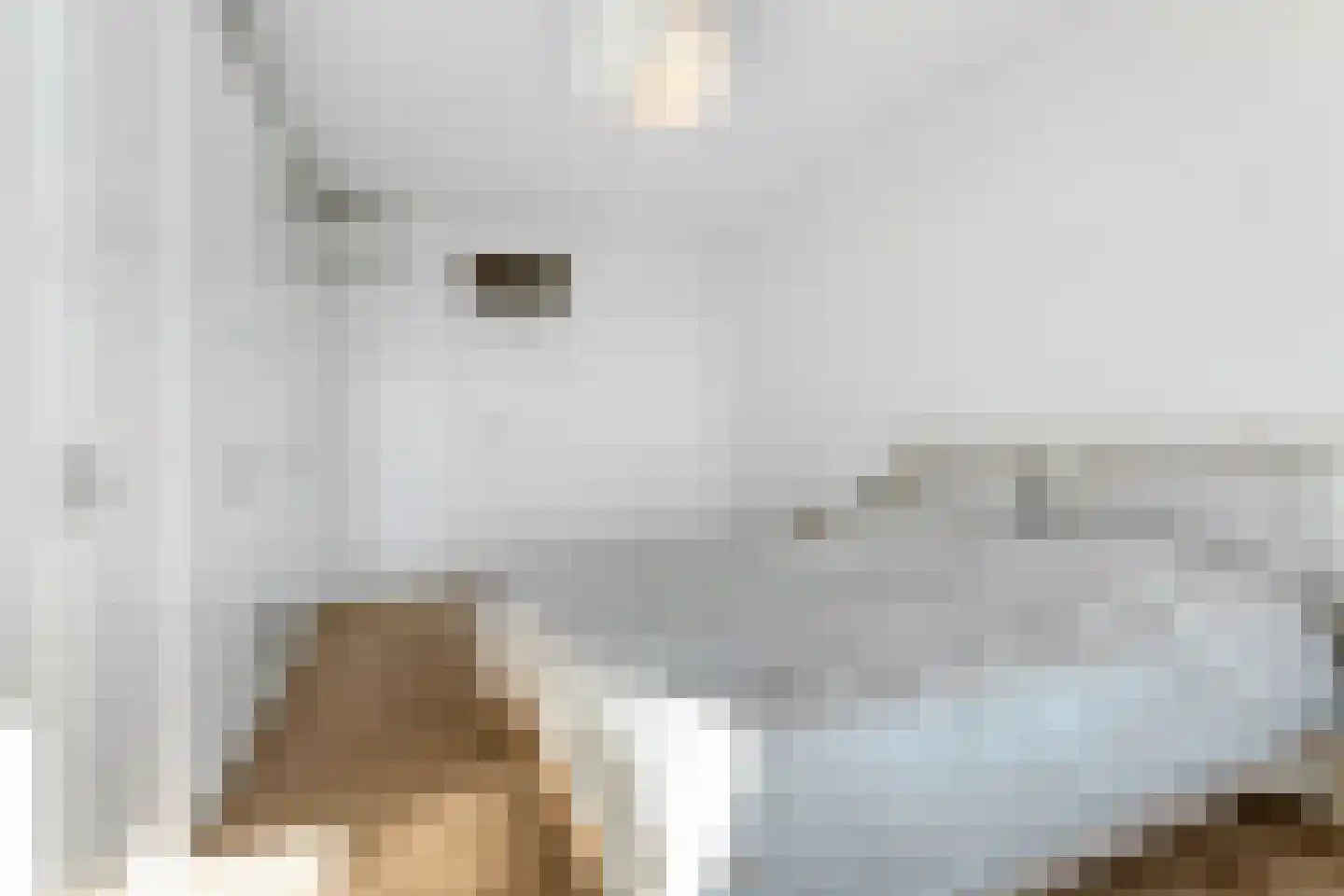 Laan van Meerdervoort 940 Den Haag thumbnail 35