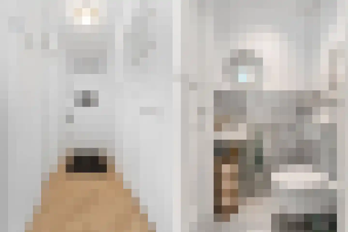 Laan van Meerdervoort 940 Den Haag thumbnail 40