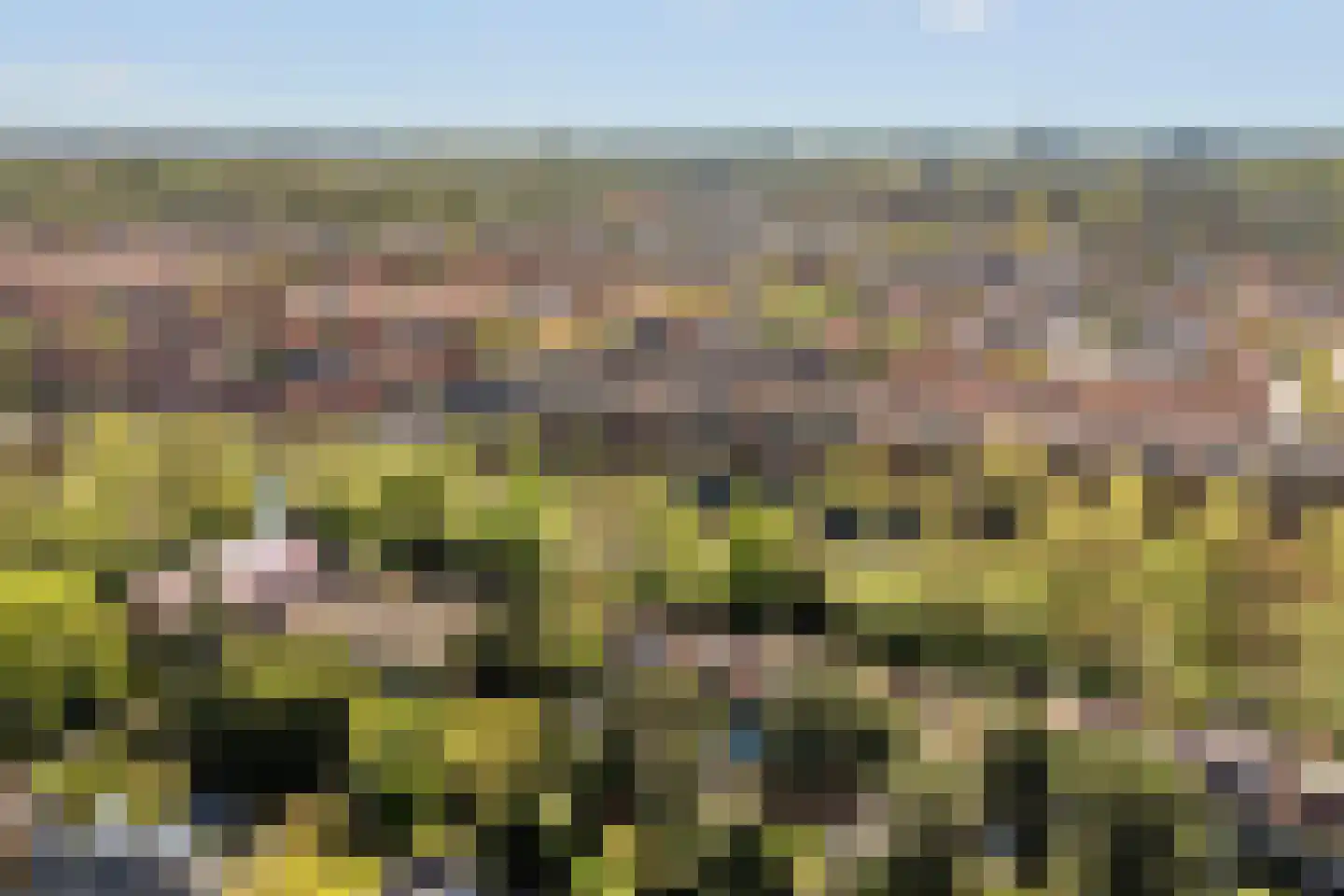 Laan van Meerdervoort 940 Den Haag thumbnail 48