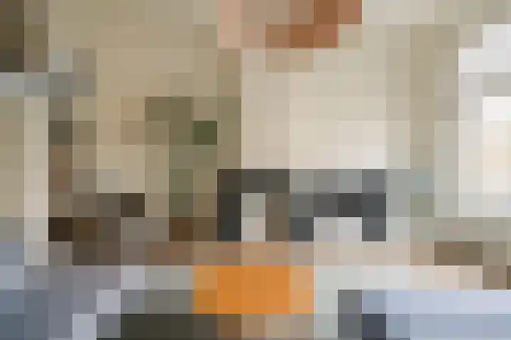 Laan van Meerdervoort 96 B 1 Den Haag thumbnail 13