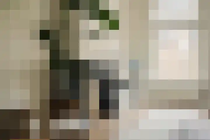 Laan van Meerdervoort 96 B 1 Den Haag thumbnail 14