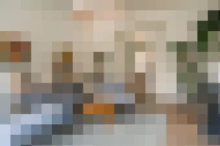 Laan van Meerdervoort 96 B 1 Den Haag thumbnail 16