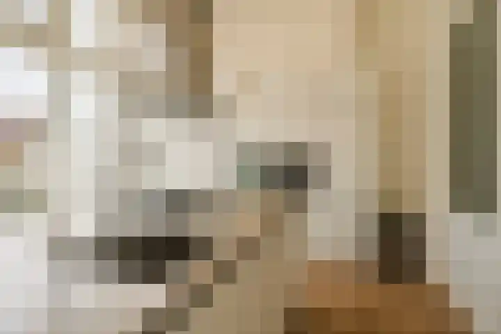 Laan van Meerdervoort 96 B 1 Den Haag thumbnail 19