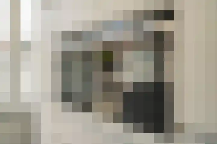 Laan van Meerdervoort 96 B 1 Den Haag thumbnail 20
