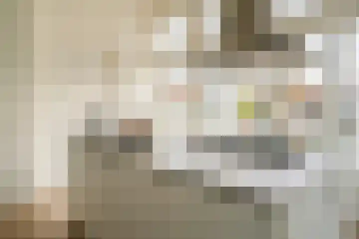 Laan van Meerdervoort 96 B 1 Den Haag thumbnail 21
