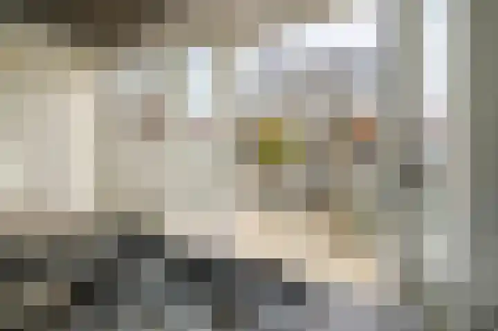 Laan van Meerdervoort 96 B 1 Den Haag thumbnail 22