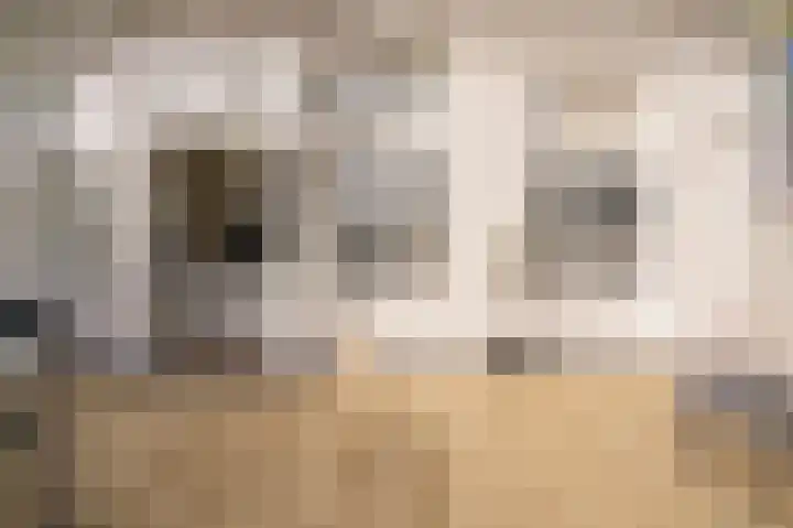Laan van Meerdervoort 96 B 1 Den Haag thumbnail 27