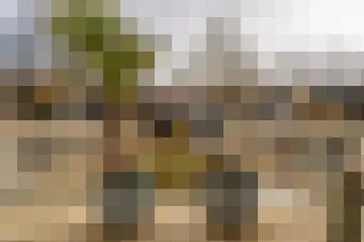 Laan van Meerdervoort 96 B 1 Den Haag thumbnail 28