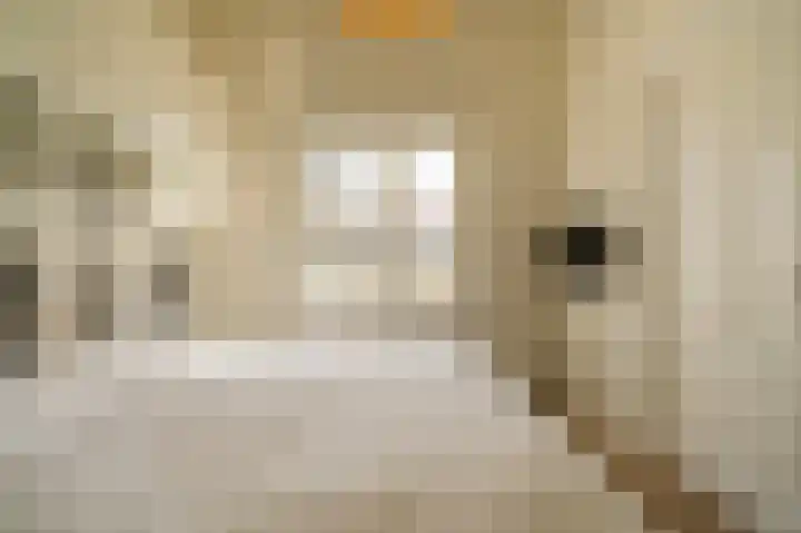 Laan van Meerdervoort 96 B 1 Den Haag thumbnail 30
