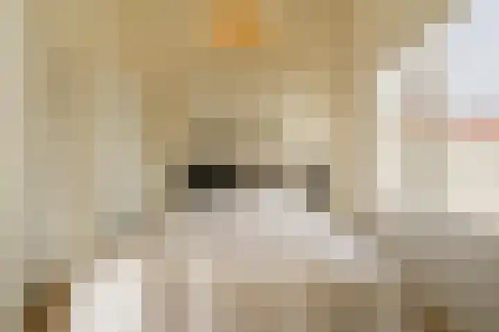 Laan van Meerdervoort 96 B 1 Den Haag thumbnail 31