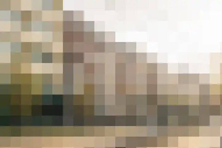 Laan van Meerdervoort 96 B 1 Den Haag thumbnail 40