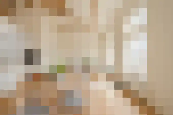 Laan van Meerdervoort 96 C Den Haag thumbnail 12