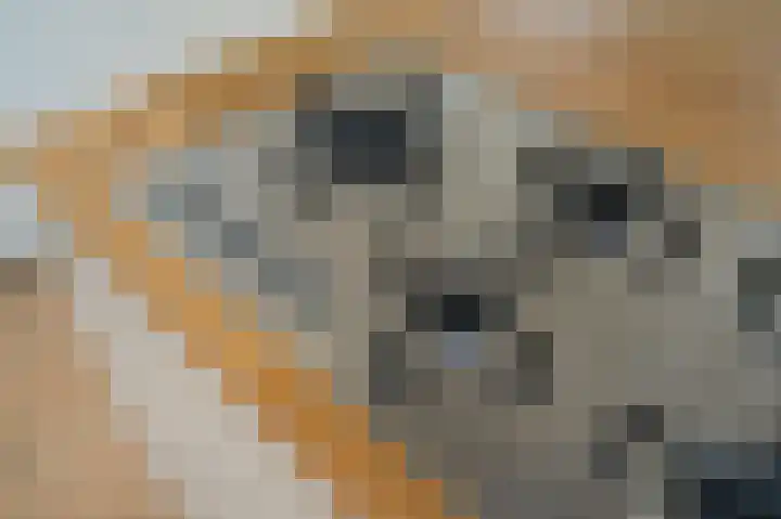 Laan van Meerdervoort 96 C Den Haag thumbnail 16