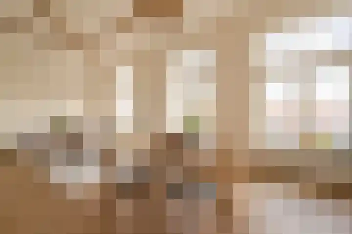 Laan van Meerdervoort 96 C Den Haag thumbnail 6