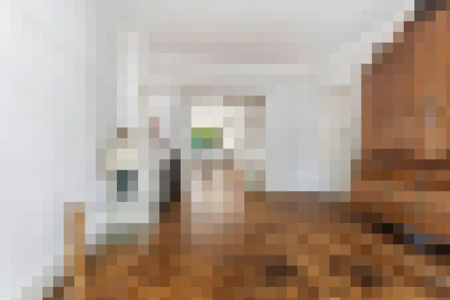 Laan van Meerdervoort 986 Den Haag thumbnail 13