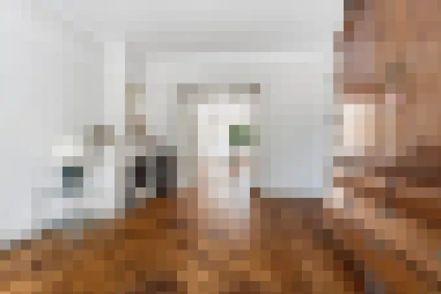 Laan van Meerdervoort 986 Den Haag thumbnail 14