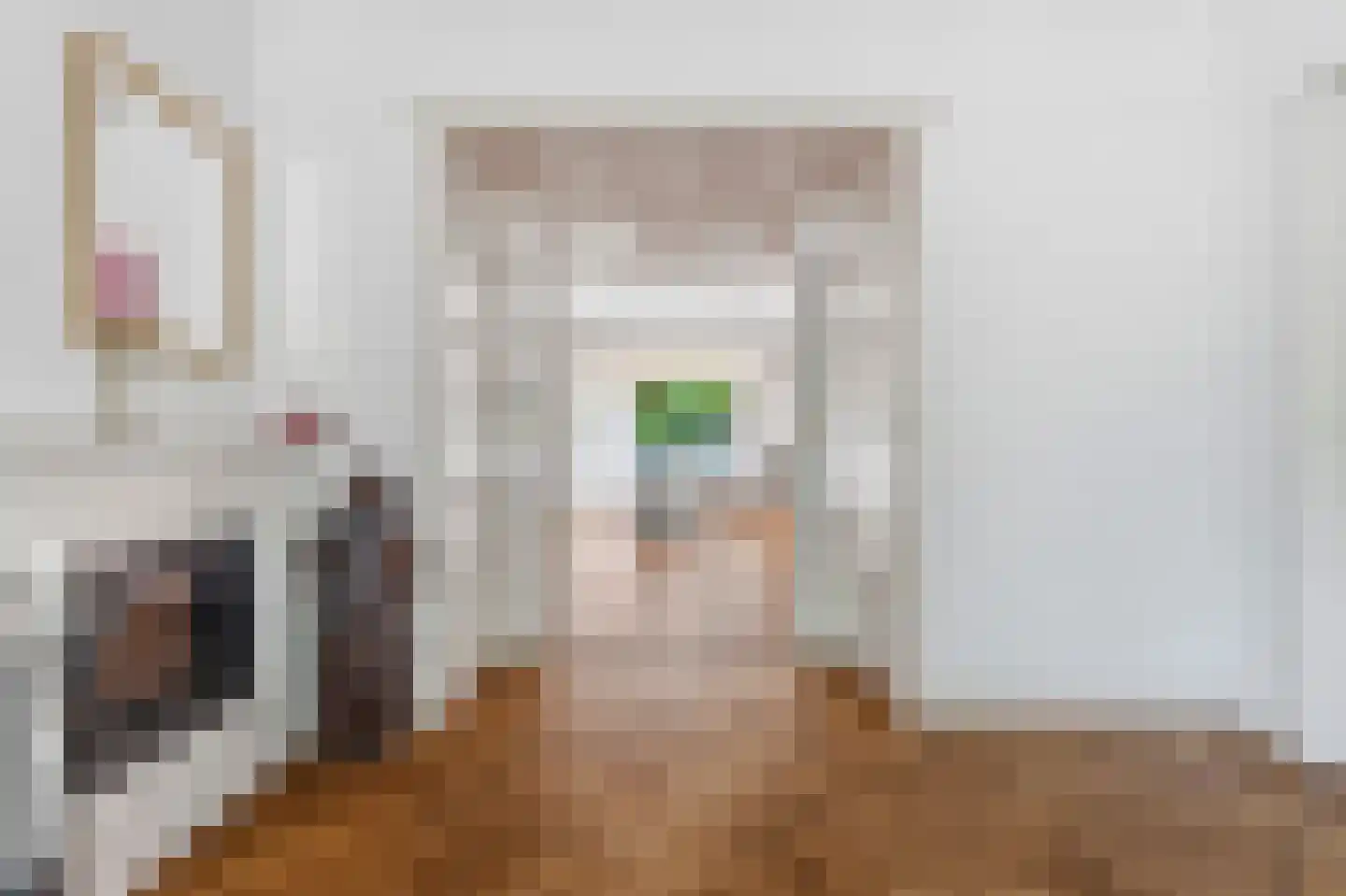 Laan van Meerdervoort 986 Den Haag thumbnail 15