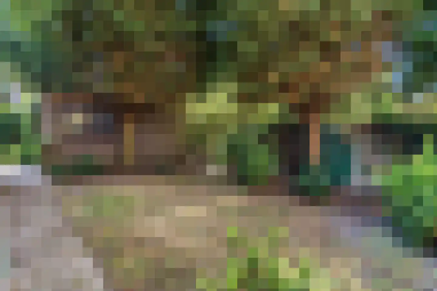 Laan van Meerdervoort 986 Den Haag thumbnail 29