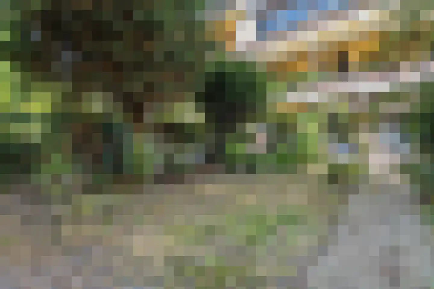 Laan van Meerdervoort 986 Den Haag thumbnail 30