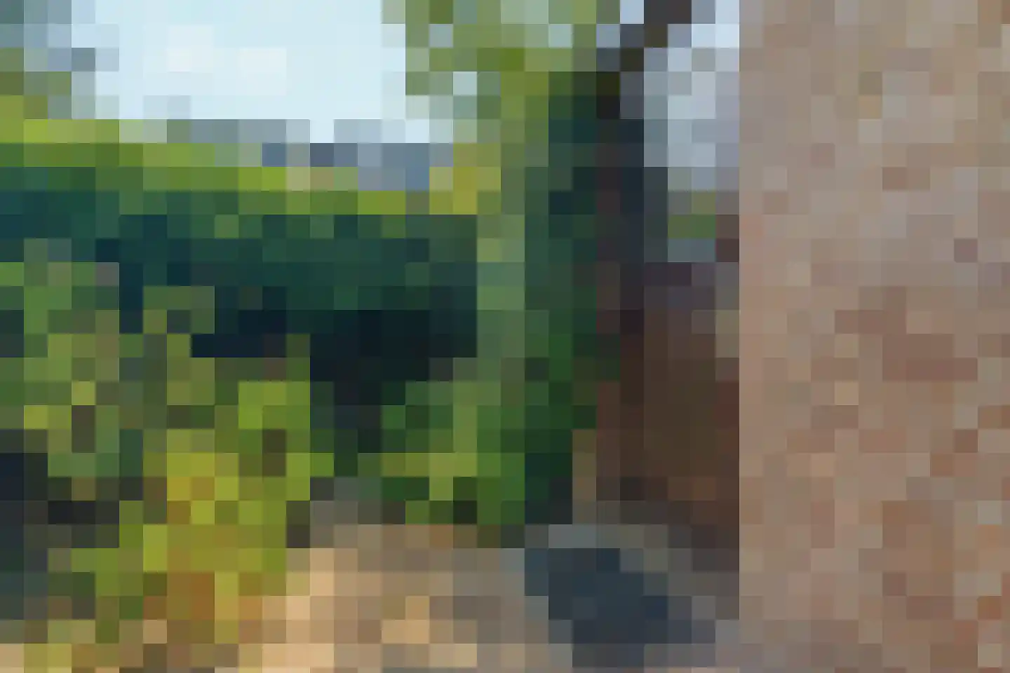 Laan van Meerdervoort 986 Den Haag thumbnail 32