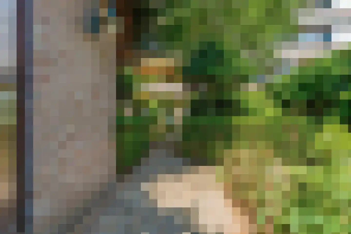 Laan van Meerdervoort 986 Den Haag thumbnail 33