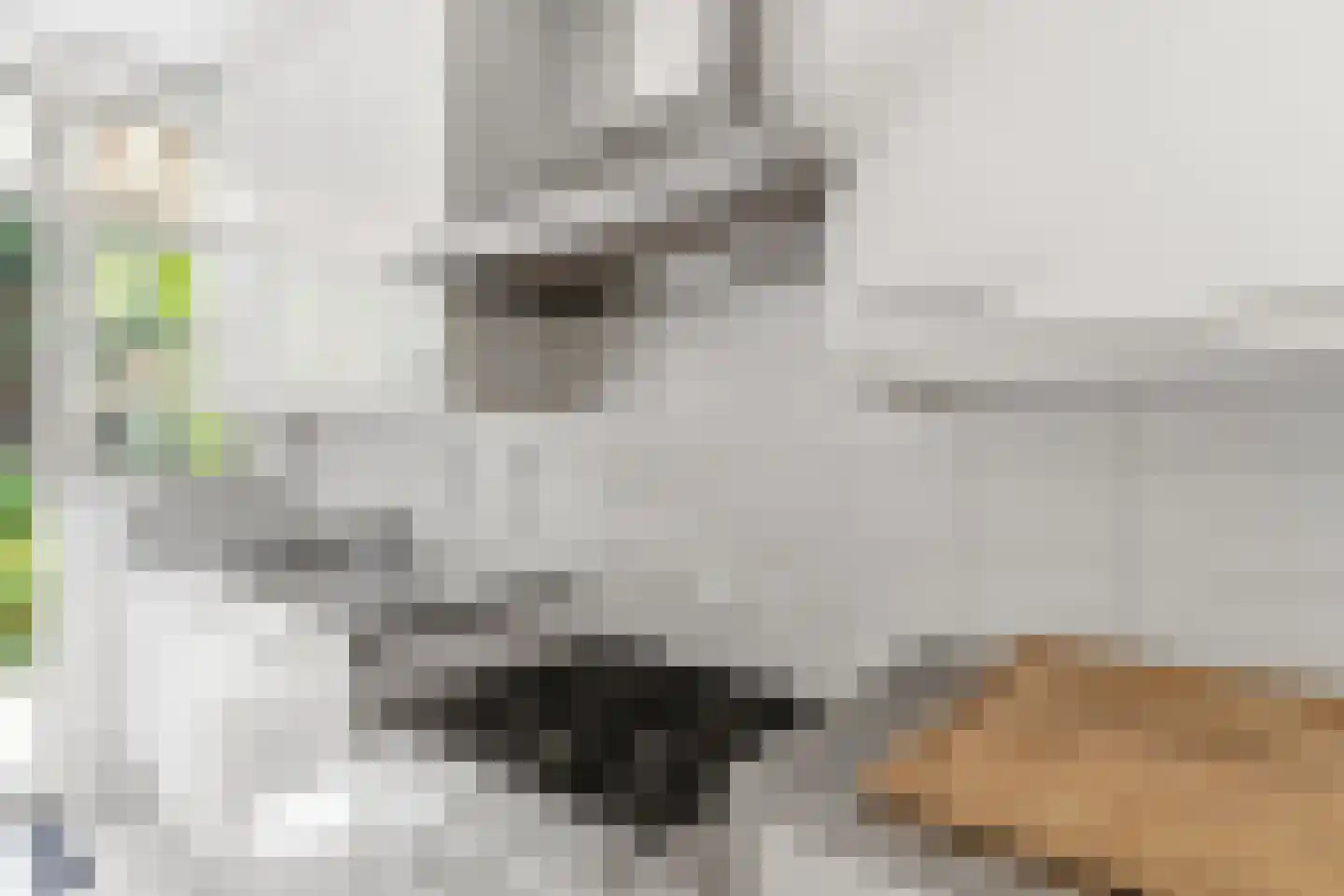 Laan van Meerdervoort 986 Den Haag thumbnail 34