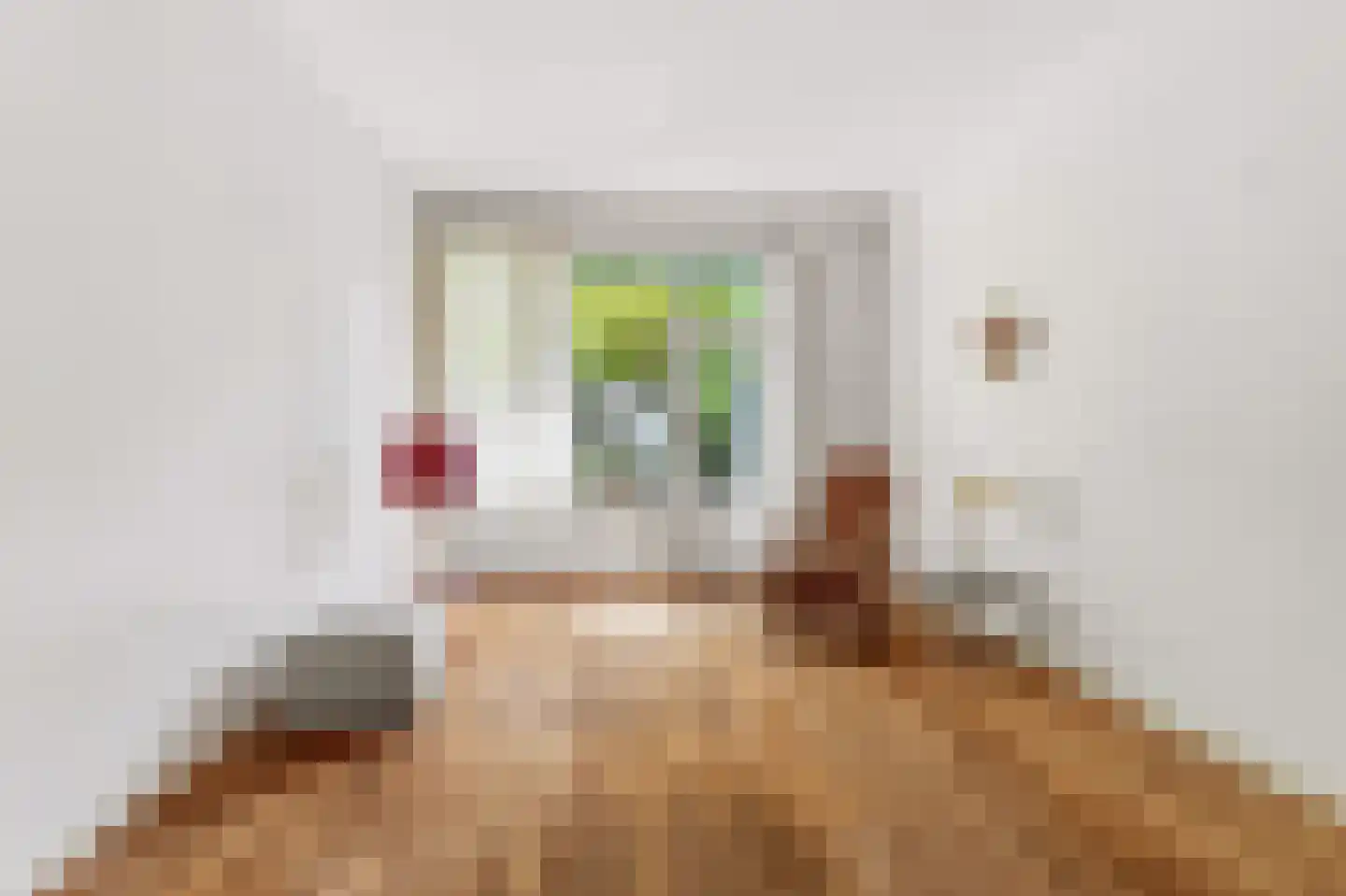 Laan van Meerdervoort 986 Den Haag thumbnail 36