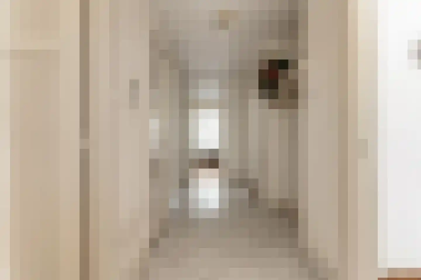 Laan van Meerdervoort 986 Den Haag thumbnail 41
