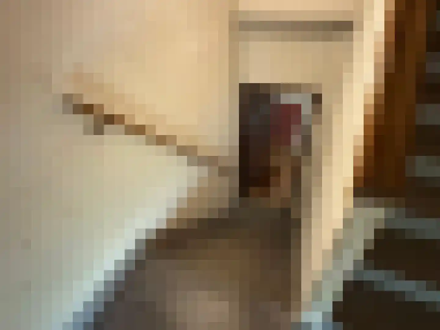 Laan van Meerdervoort 986 Den Haag thumbnail 47