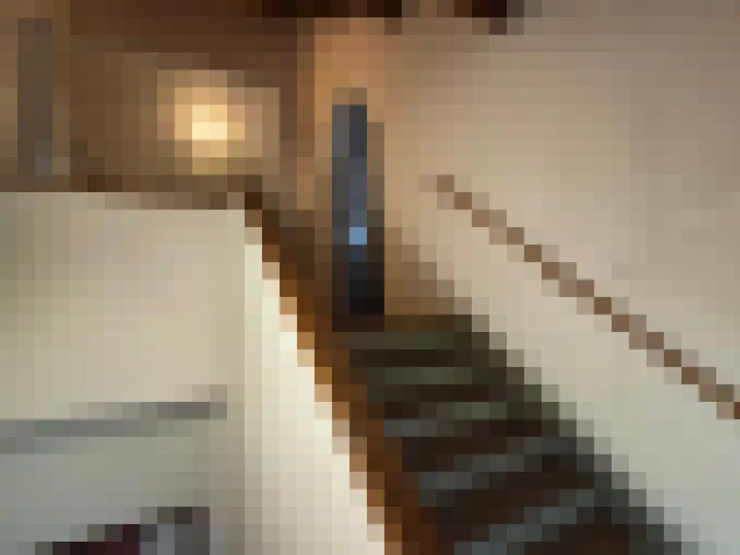 Laan van Meerdervoort 986 Den Haag thumbnail 48