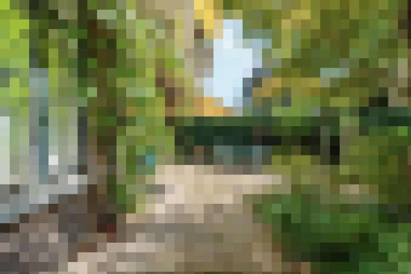 Laan van Meerdervoort 986 Den Haag thumbnail 5