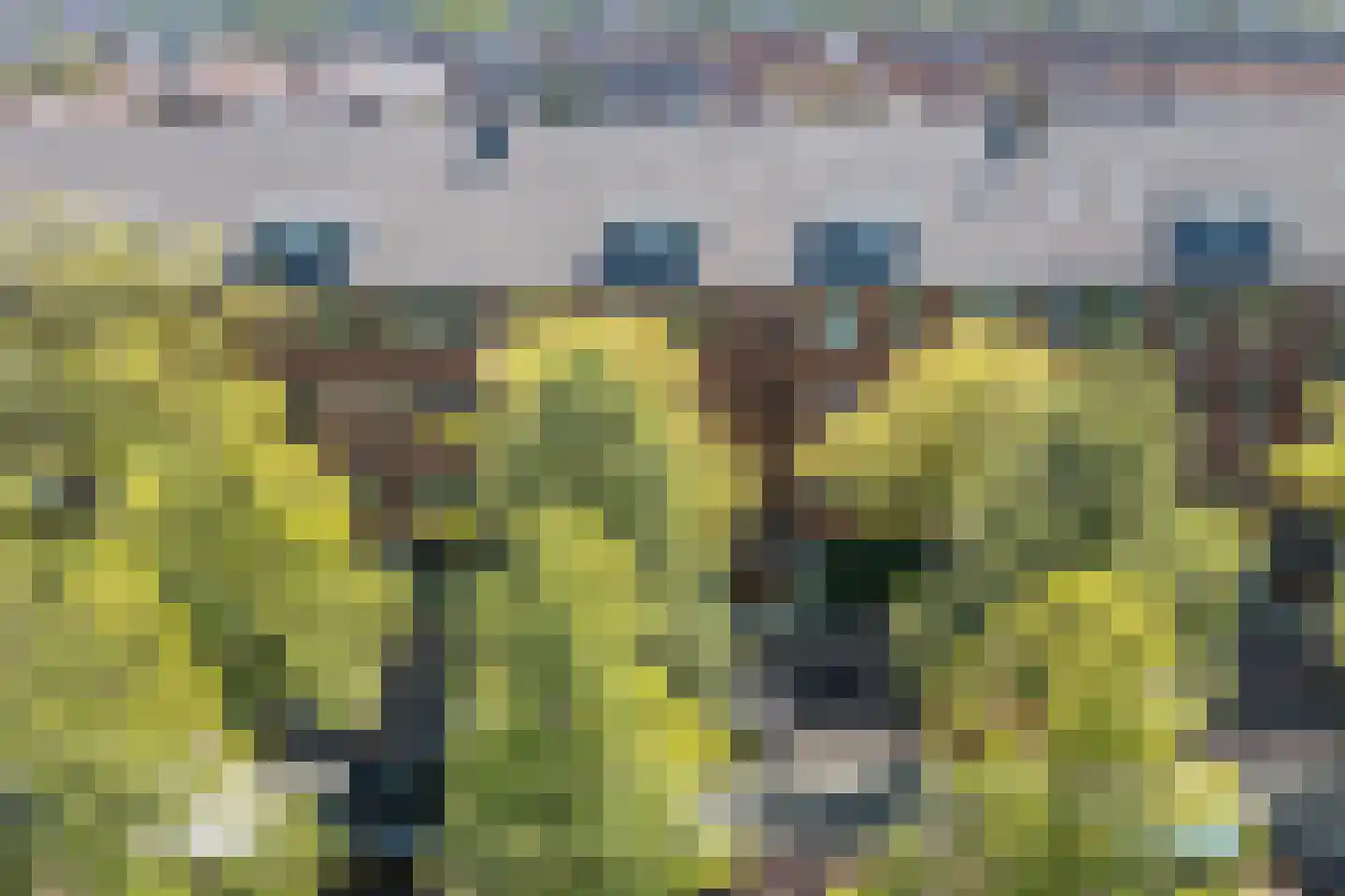 Laan van Meerdervoort 986 Den Haag thumbnail 56