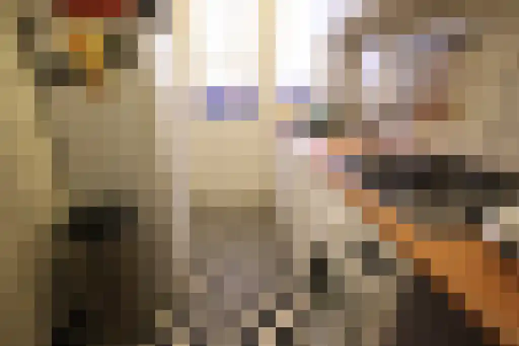 Laan van Meerdervoort Den Haag thumbnail 4