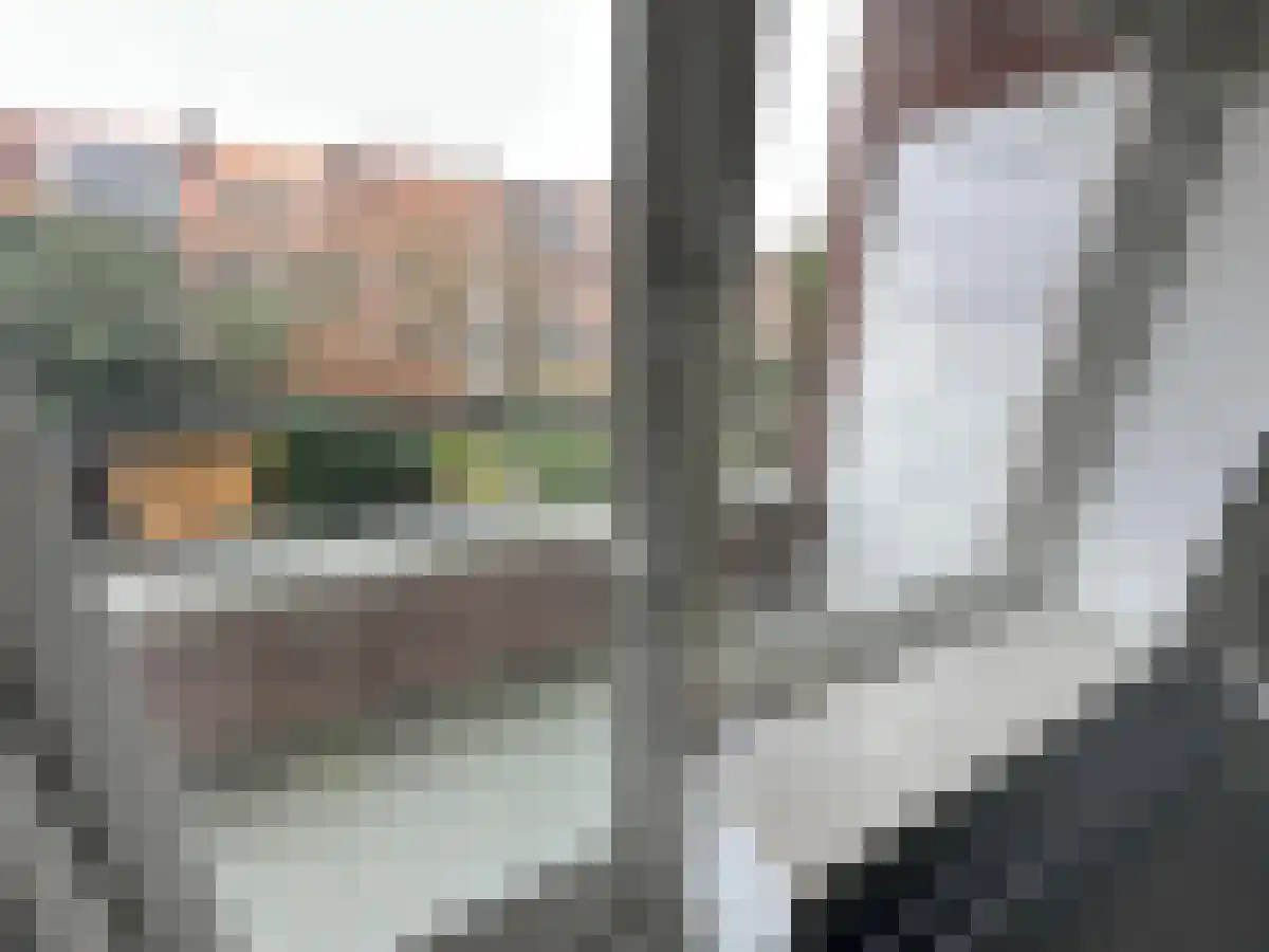 Laan van Meerdervoort Den Haag thumbnail 4