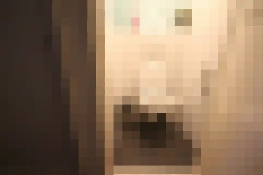 Laan van Meerdervoort Den Haag thumbnail 5