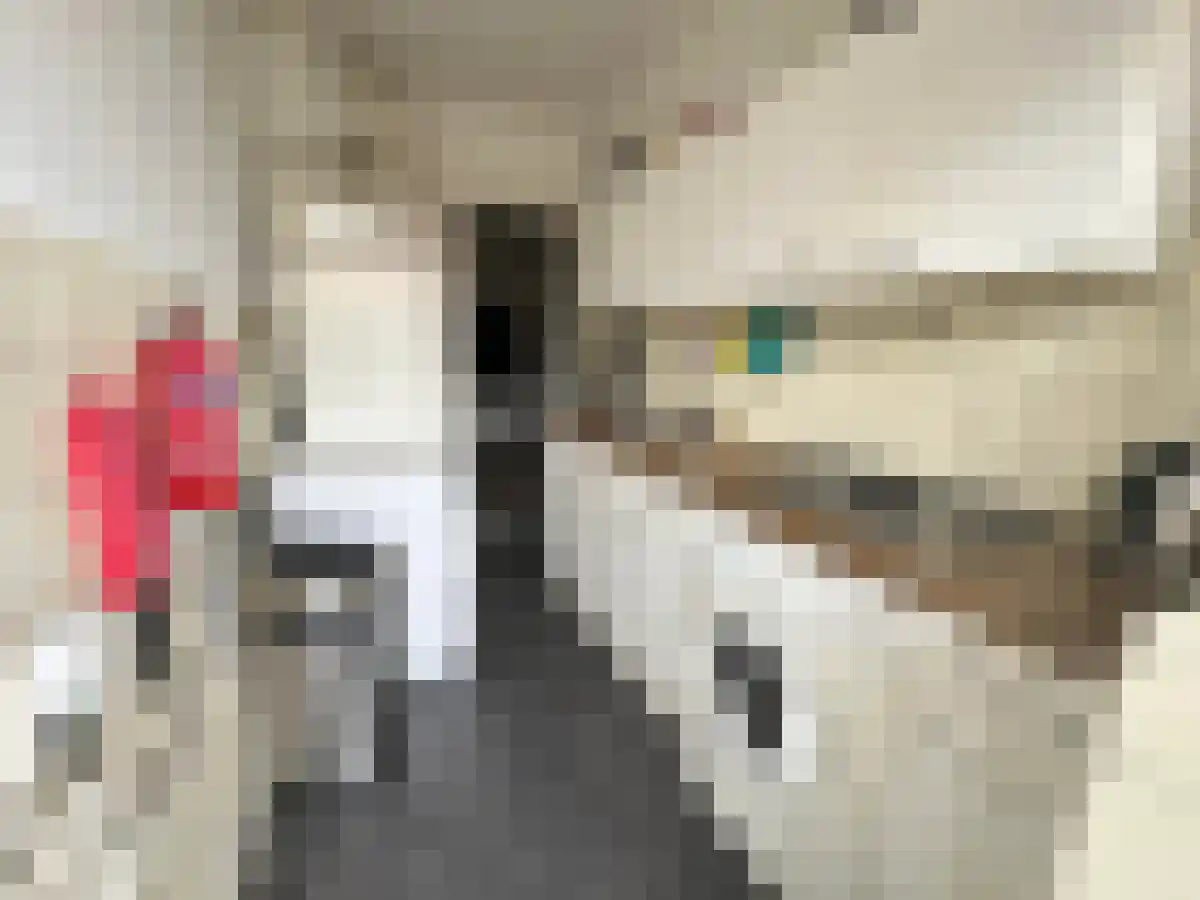 Laan van Meerdervoort Den Haag thumbnail 6