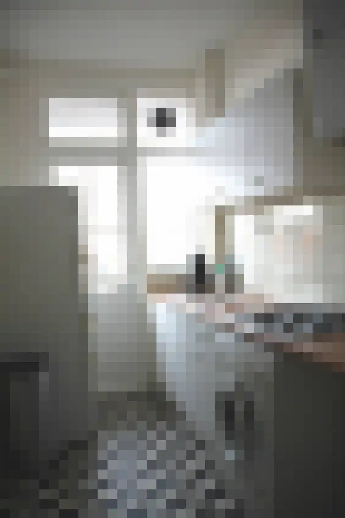 Laan van Meerdervoort Den Haag thumbnail 6