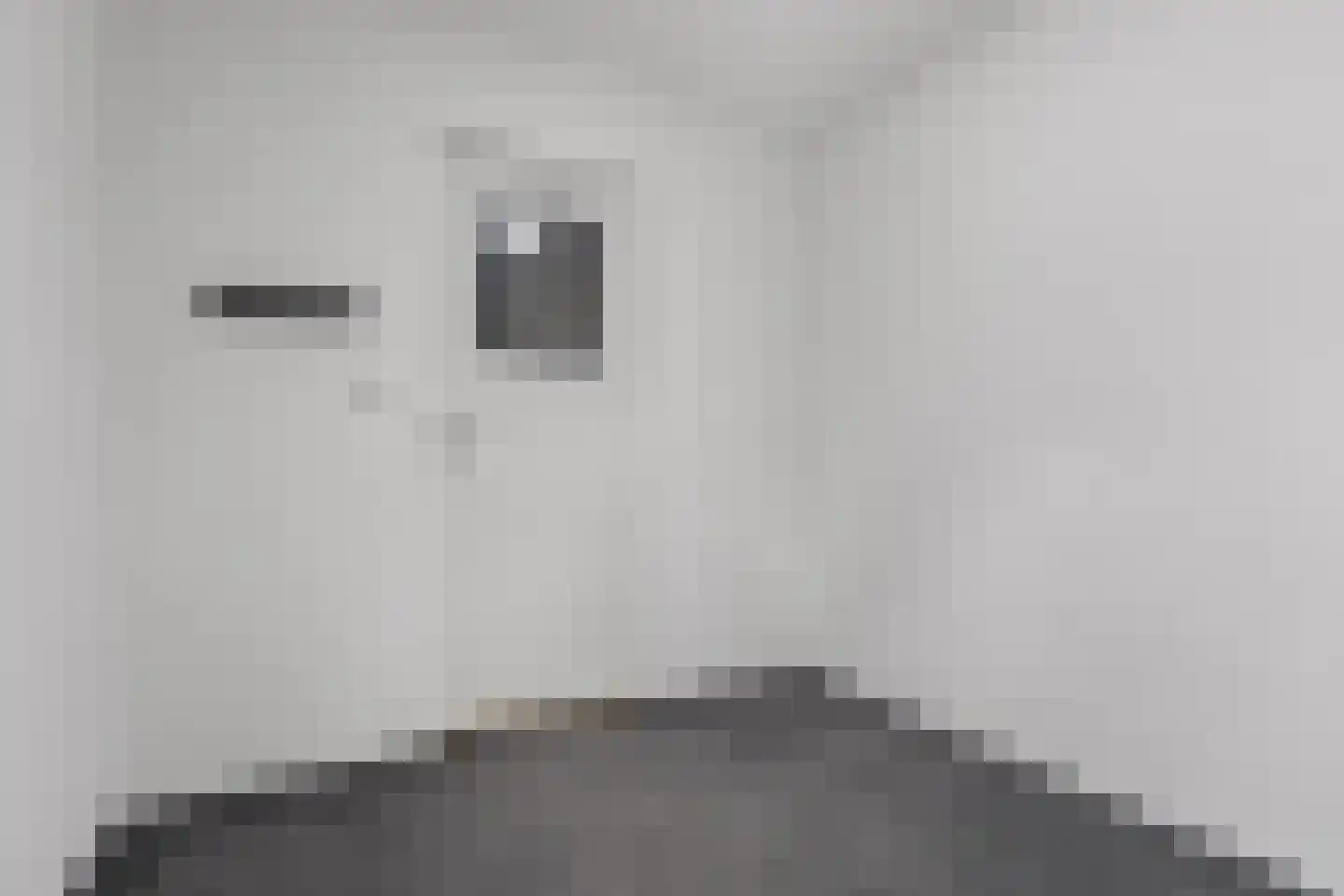 Laan van Meerestein 2 A Beverwijk thumbnail 27