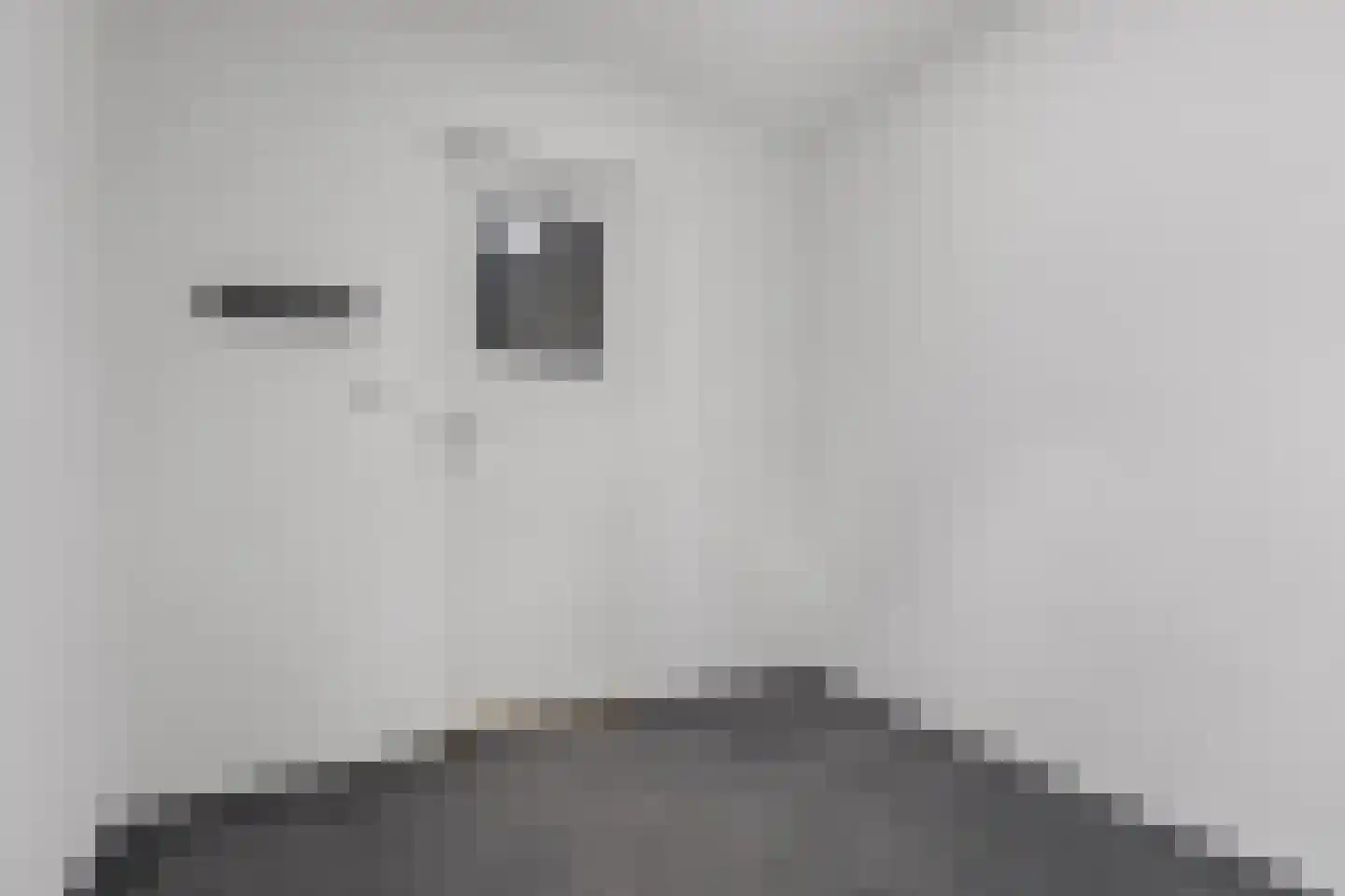 Laan van Meerestein 2 A Beverwijk thumbnail 27