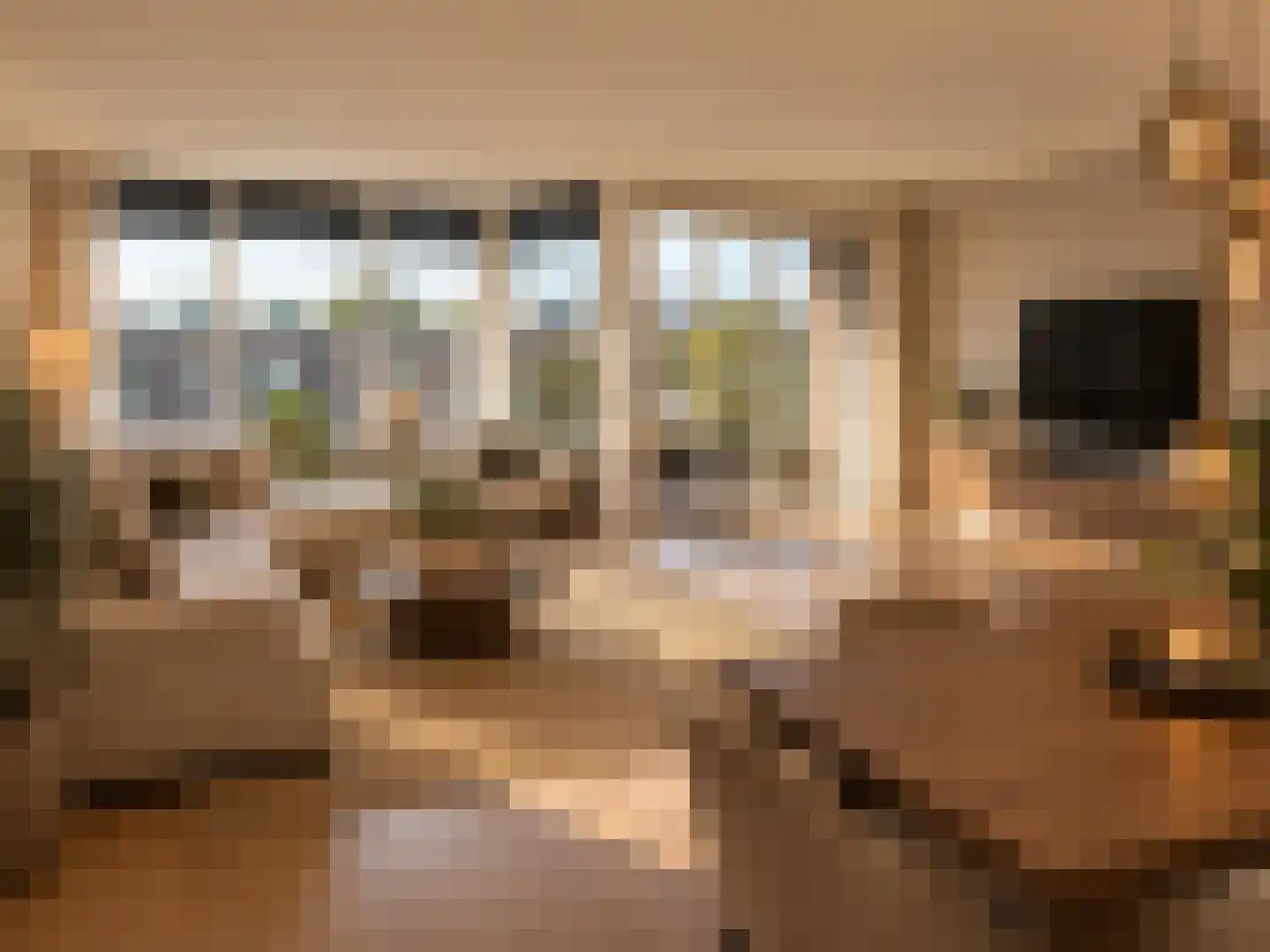 Laan van Meerestein 2 A Beverwijk thumbnail 4