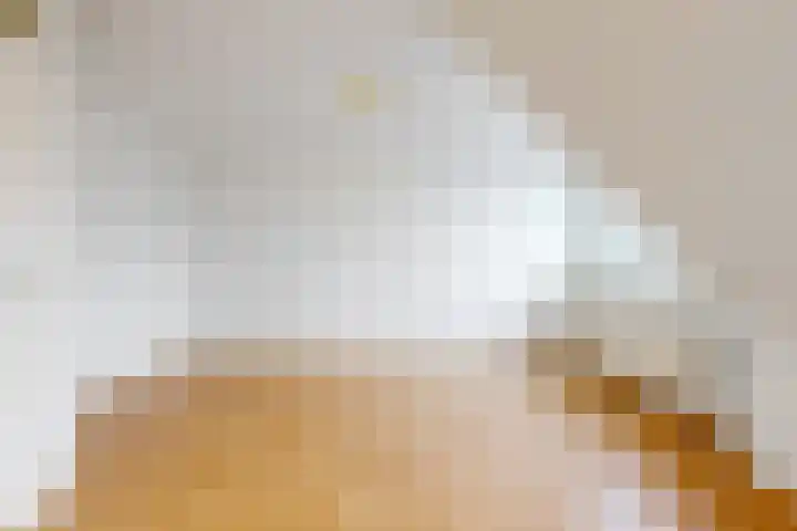 Laan van Meerwijk 19 Uithoorn thumbnail 11