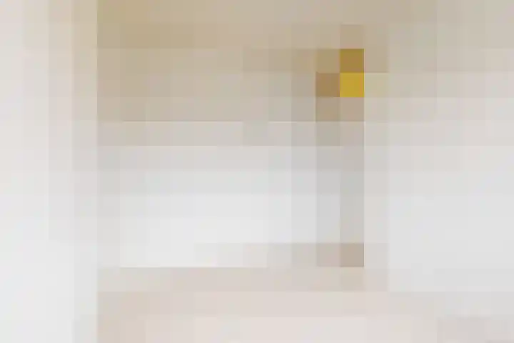 Laan van Meerwijk 19 Uithoorn thumbnail 15