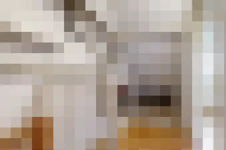 Laan van Meerwijk 19 Uithoorn thumbnail 18