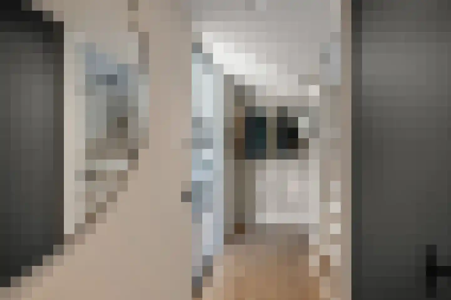 Laan van Meerwijk 32 Uithoorn thumbnail 18