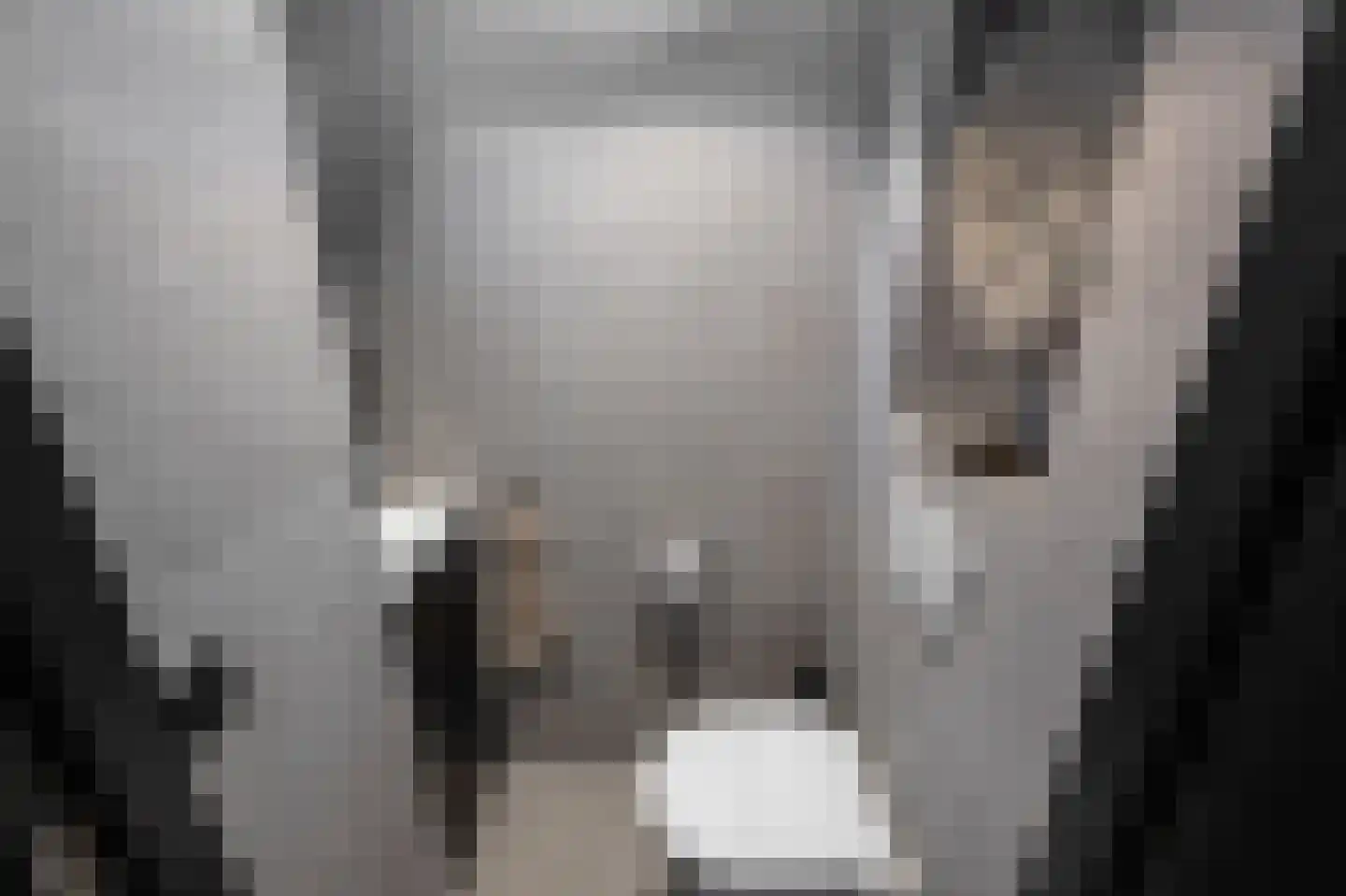 Laan van Meerwijk 32 Uithoorn thumbnail 19